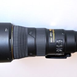 _DSC5584 copy