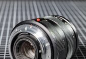 Leica Macro-Elmarit-R 1:2.8/60 mm