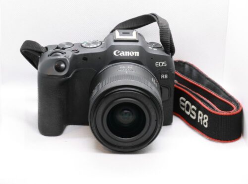 7O2A9118_CanonR8_30% 7O2A9118_CanonR8_30%